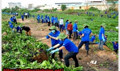 Những cách có thể bảo vệ môi trường