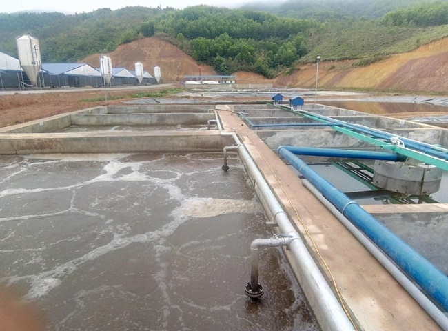 Yếu tố ảnh hưởng vi sinh trong bùn